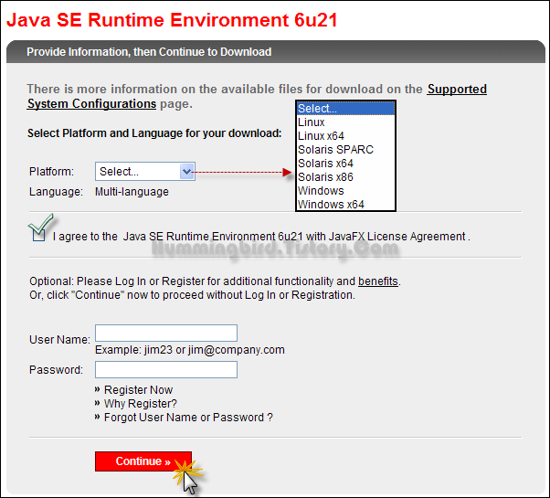 Java SE Runtime Environment(JRE) 6 Update 21 버그 수정 사항