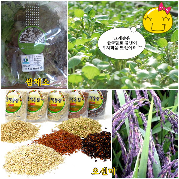 사람과먹거리 이미지