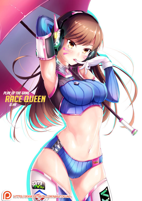 그냥 적당히 블로그 오버워치 OverWatch 04 D VA