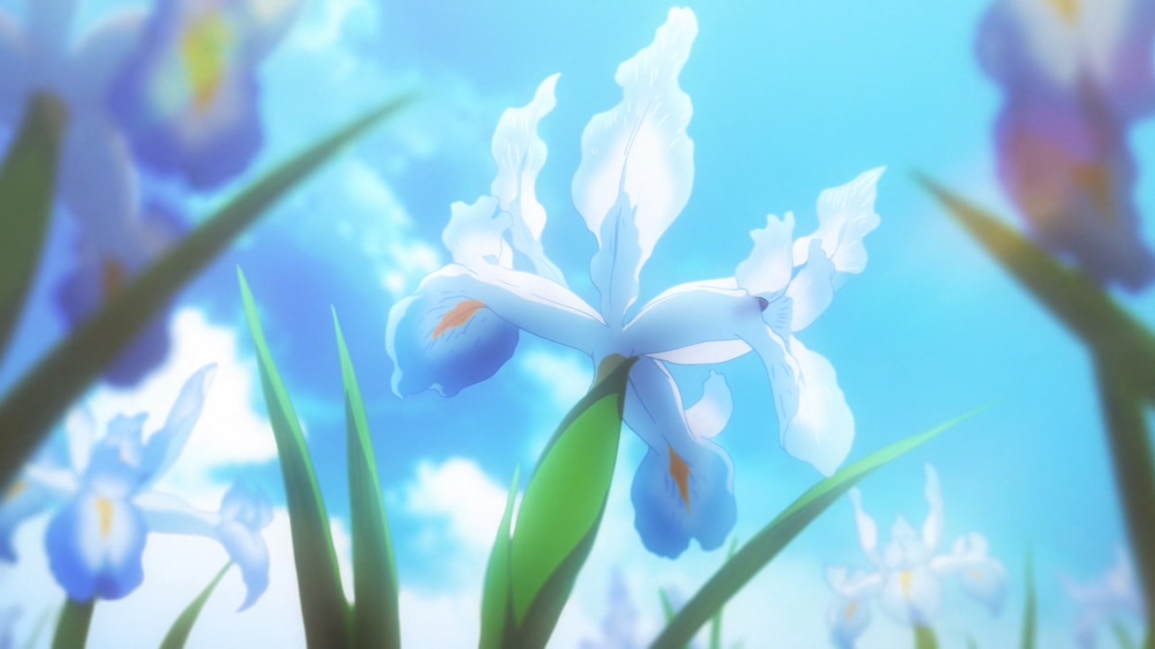 Ирис аниме цветок